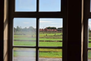 From Krakow: Auschwitz-Birkenau Tour with Transportation