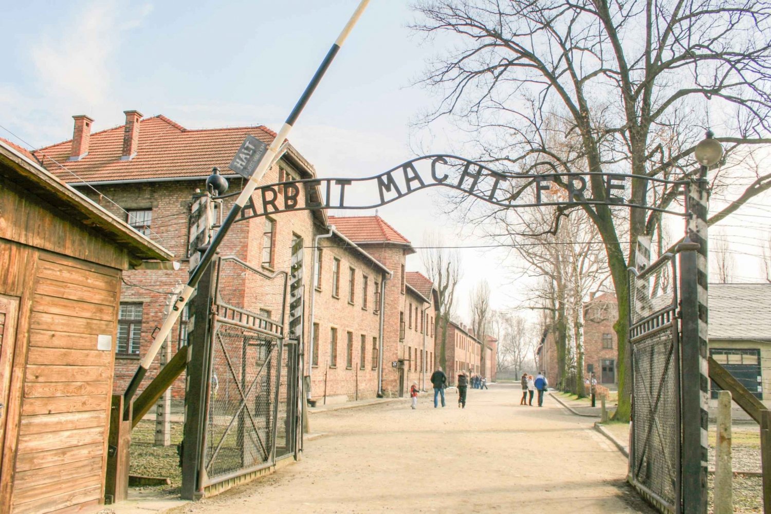 Krakow: Guidet heldagsutflukt til Auschwitz-Birkenau og saltgruven