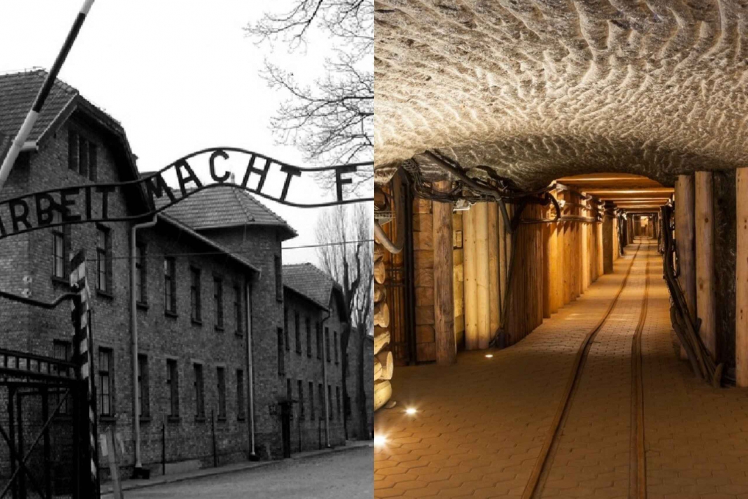 From Kraków: Auschwitz-Birkenau and/or Salt Mine Guided Tour