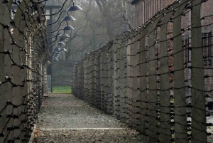 From Kraków: Auschwitz-Birkenau and/or Salt Mine Guided Tour
