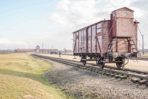 Krakau: Hele dag Auschwitz-Birkenau & Zoutmijn tour met gids