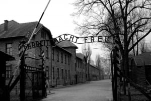 From Kraków: Auschwitz-Birkenau & Salt Mine in 1 Day