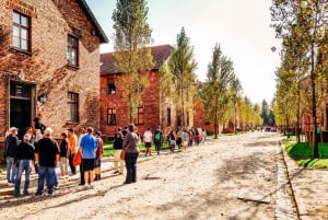 From Krakow: Auschwitz-Birkenau & Schindler's Factory Tour