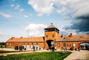 Da Cracovia: Tour di Auschwitz-Birkenau e della Fabbrica di Schindler