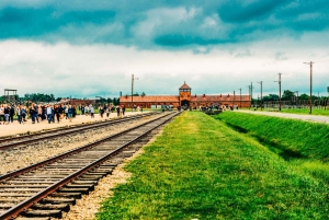 Da Cracovia: Tour di Auschwitz-Birkenau e della Fabbrica di Schindler