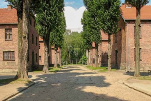 Da Cracovia: Tour di Auschwitz-Birkenau e della Fabbrica di Schindler