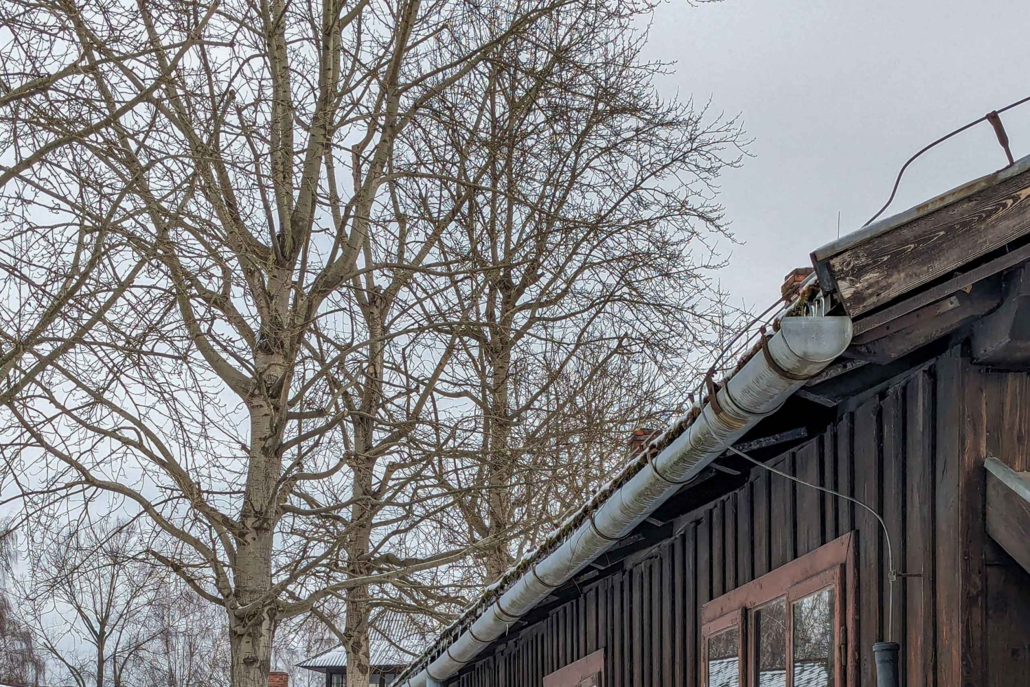Von Krakau aus: Auschwitz Birkenau Selbstgeführte Tour
