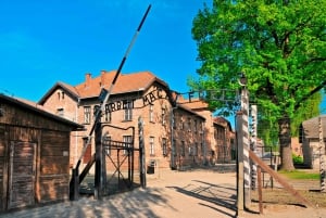 From Krakow: Auschwitz Birkenau Self-Guided Tour