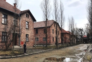 Von Krakau aus: Auschwitz Birkenau Selbstgeführte Tour