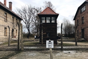 Von Krakau aus: Auschwitz Birkenau Selbstgeführte Tour