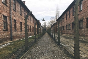 Von Krakau aus: Auschwitz Birkenau Selbstgeführte Tour
