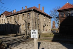 From Krakow: Auschwitz-Birkenau and Self-Guided Day Tour