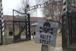 Krakovasta: Krakova: Auschwitz-Birkenau Self-Guided with Guidebook