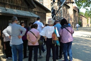 From Krakow: Auschwitz Birkenau Small Group Tour with Pickup