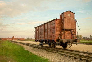 Von Krakau aus: Auschwitz Birkenau Kleingruppentour mit Abholung