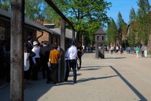 From Krakow: Auschwitz Birkenau Small Group Tour with Pickup