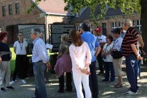 From Krakow: Auschwitz Birkenau Small Group Tour with Pickup