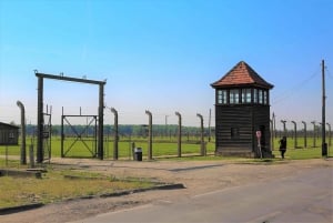 From Krakow: Auschwitz Birkenau Small Group Tour with Pickup