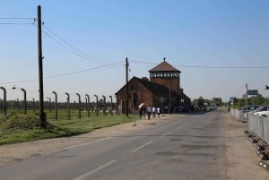 From Krakow: Auschwitz Birkenau Small Group Tour with Pickup