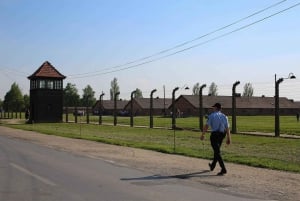 From Krakow: Auschwitz Birkenau Small Group Tour with Pickup