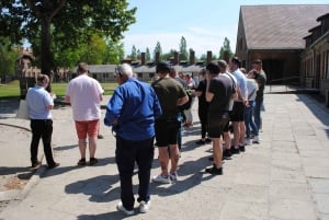 Da Cracovia: Tour di Auschwitz-Birkenau con guida autorizzata