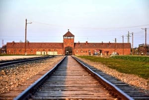 De Cracóvia: Excursão a Auschwitz-Birkenau com um guia licenciado