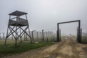 Depuis Cracovie : Visite guidée d'Auschwitz-Birkenau avec un guide agréé