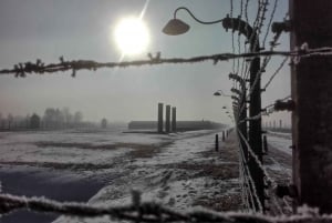 Desde Cracovia: Excursión a Auschwitz-Birkenau con guía titulado