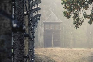 Vanuit Krakau: Auschwitz-Birkenau Tour met een gediplomeerde gids