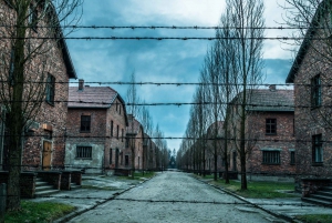 Fra Krakow: Auschwitz-Birkenau-tur med en autoriseret guide