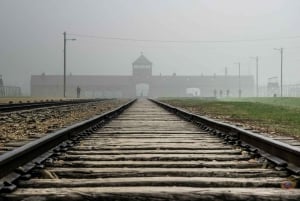 Från Krakow: Auschwitz-Birkenau-tur med en licensierad guide