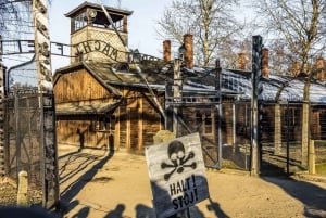 Depuis Cracovie : Visite guidée d'Auschwitz-Birkenau avec un guide agréé
