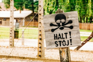 From Krakow: Auschwitz-Birkenau Tour with Pick-up Options