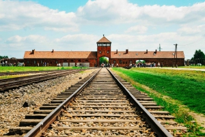From Krakow: Auschwitz-Birkenau Tour with Pick-up Options