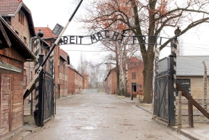Visite d'Auschwitz-Birkenau avec transfert privatif depuis Cracovie