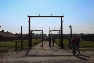 From Krakow: Auschwitz-Birkenau Tour with Private Transport