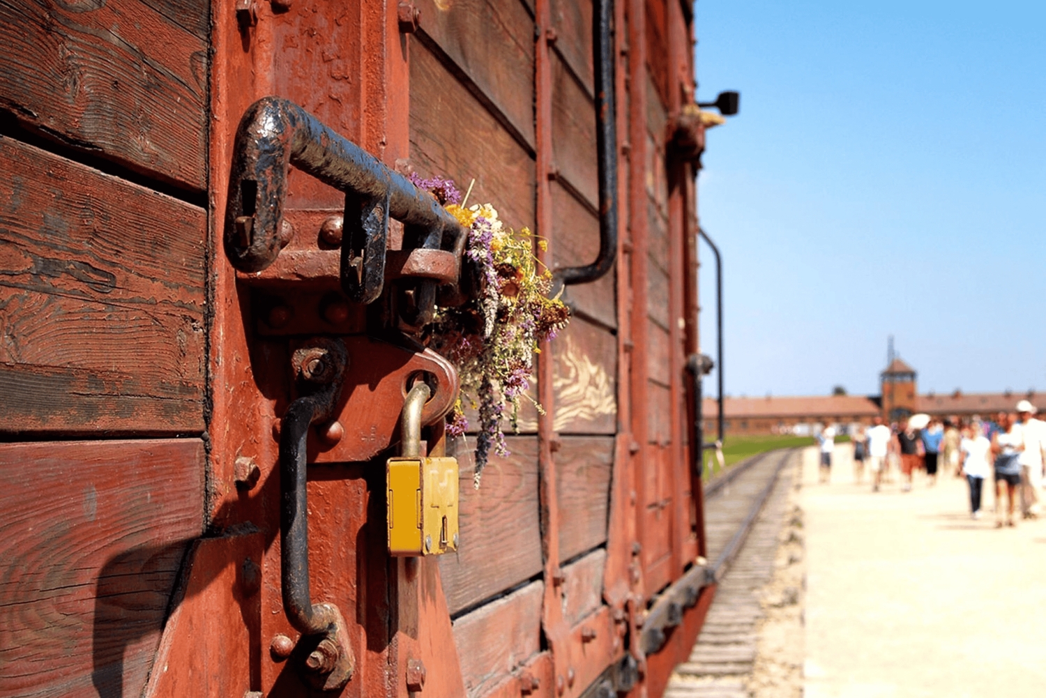Depuis Cracovie : visite d'Auschwitz-Birkenau avec transfert