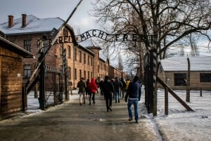 From Krakow: Auschwitz-Birkenau Tour with Transfer