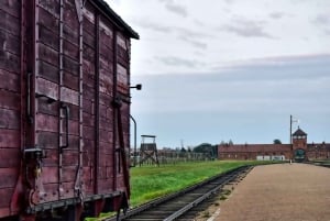 From Krakow: Auschwitz-Birkenau Tour with Transfer