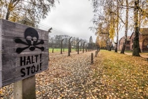 From Krakow: Auschwitz-Birkenau Tour with Transfer