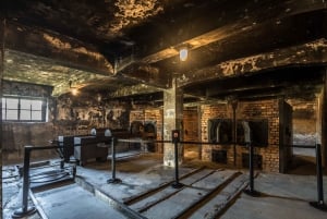 From Krakow: Auschwitz-Birkenau Tour with Transfer