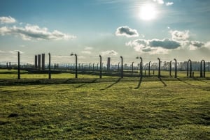 From Krakow: Auschwitz-Birkenau Tour with Transfer