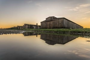 From Krakow: Auschwitz-Birkenau Tour with Transfer