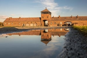 From Krakow: Auschwitz-Birkenau Tour with Transfer