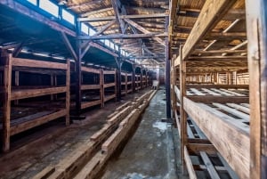 Från Krakow: Auschwitz-Birkenau-tur med transfer