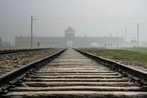 Från Krakow: Auschwitz-Birkenau-tur med transfer
