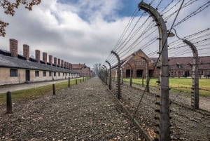 Från Krakow: Auschwitz-Birkenau-tur med transfer