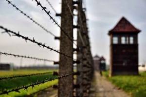 Från Krakow: Auschwitz-Birkenau-tur med transfer