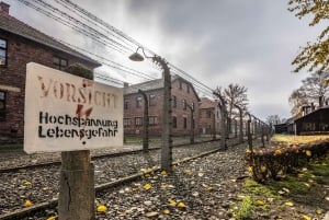 Från Krakow: Auschwitz-Birkenau-tur med transfer