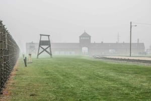 Från Krakow: Auschwitz-Birkenau-tur med transfer